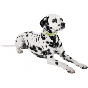 Alternative view of COLLAR COCOONING PAUL GRIS Y FLUO LARGE